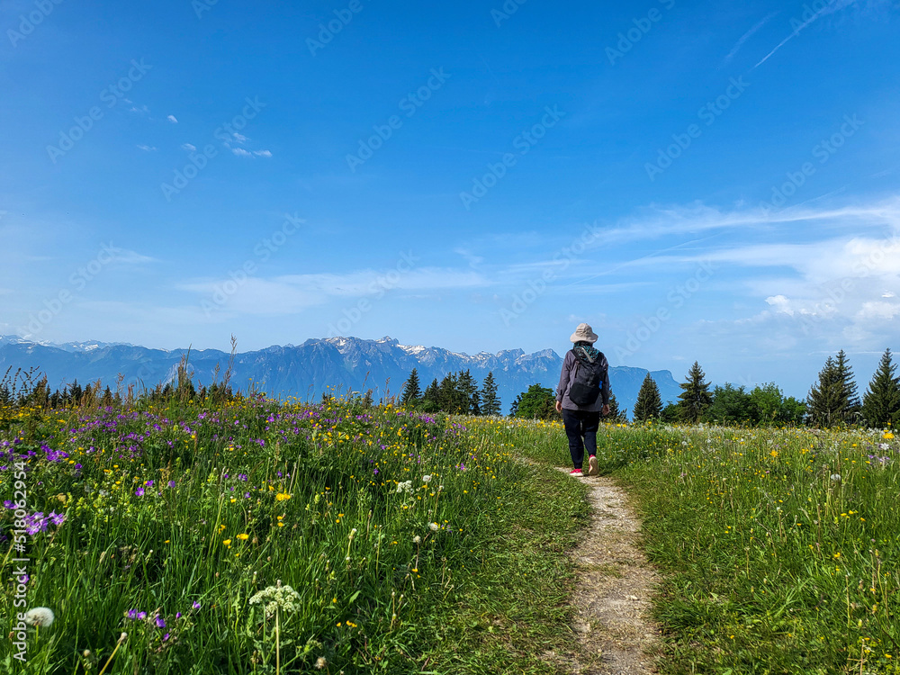 Hiking during summer season in Les Pleiades, Canton Vaud, Switzerland.