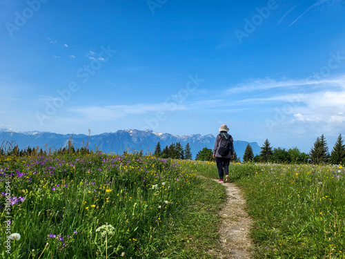 Hiking during summer season in Les Pleiades, Canton Vaud, Switzerland.