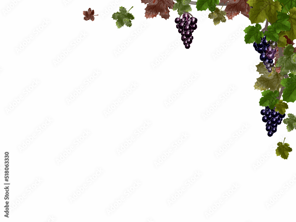 Fototapeta premium grape frame