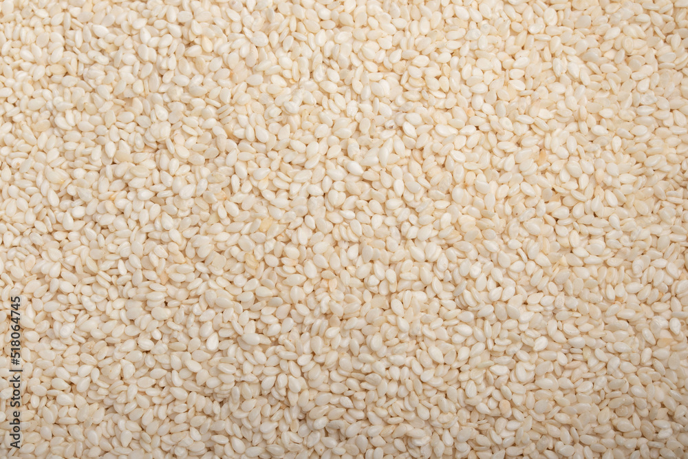 White Sesame Full Frame Background. Top View for background. White Sesame Full Frame Background. Top View for background.