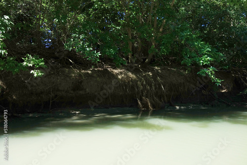 crab holes in danube delta soil 