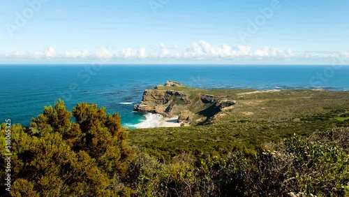 Native fynbos from Cape Floral Kingdom on Cape Point coast; Diaz beach view