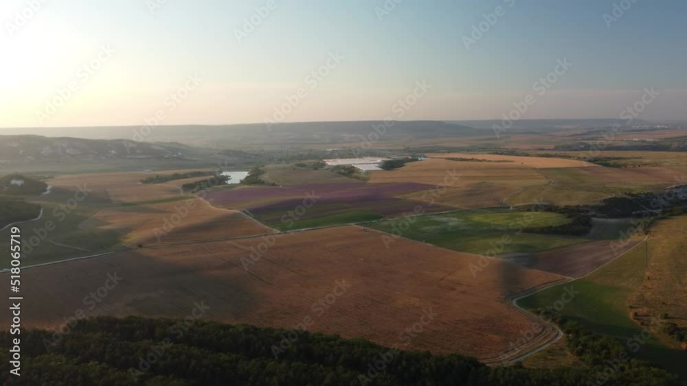 Lavender scented fields in endless rows with blooming flowers aerial view drone purple field against blue sky summer sun sunset. Lavender Oil Production. Field with lavender rows. Aromatherapy. Relax. Lavender scented fields in endless rows with blooming flowers aerial view drone purple field against blue sky summer sun sunset. Lavender Oil Production. Field with lavender rows. Aromatherapy. Relax.