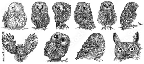 Foto Vintage engrave isolated owl set illustration ink sketch