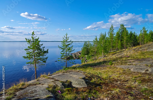 Pine trees on the granite shore of the polar lake