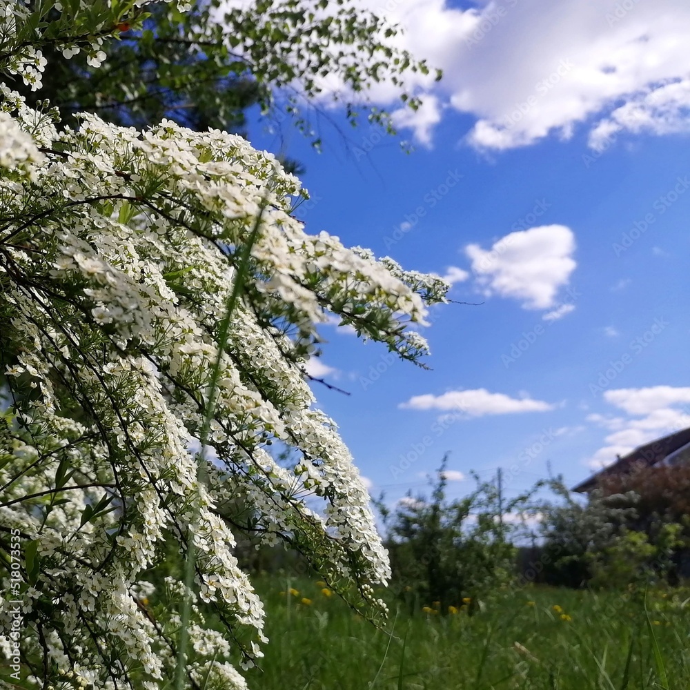 Tourism. Journeys. Spring, nature, countryside, sky. Tourism. Journeys. Spring, nature, countryside, sky.
