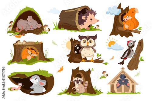 Set of forest animals sleep or hibernate in tree hole houses. Woodland burrows with cute fox, squirrel, owl, raccoon, hare and hedgehog. Woodpecker on a branch with hollow flat vector illustration.