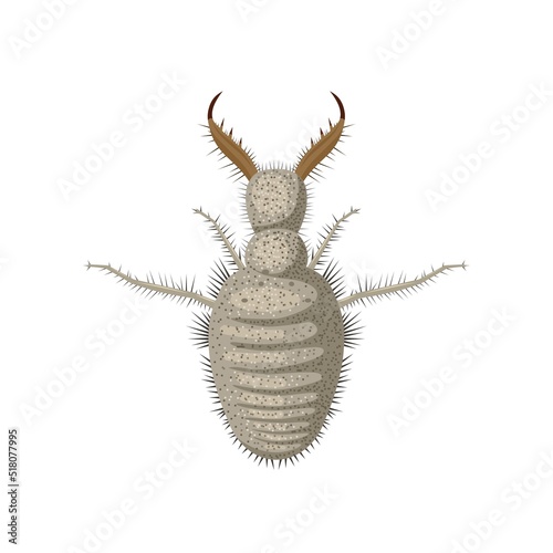 Vászonkép Vector illustration, Antlion or Myrmeleontidae larvae, isolated on white background