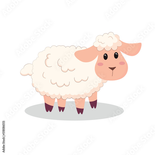 Cartoon sheep illustration. Flat farm animal lamb