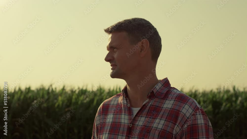 Agronomist inspecting harvesting field in sunlight closeup. Farmer watch organic Agronomist inspecting harvesting field in sunlight closeup. Farmer watch organic