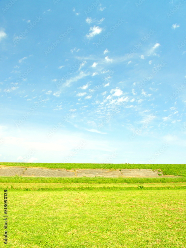 Fototapeta premium 初夏の江戸川河川敷と土手風景