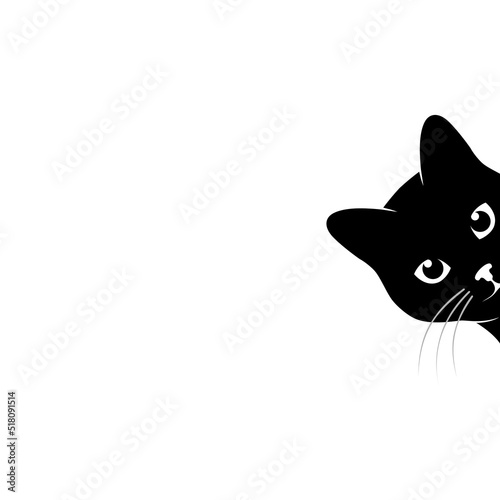 Cat is peeping on you. Black cat is looking around the corner. Pet symbol. Vector illustration