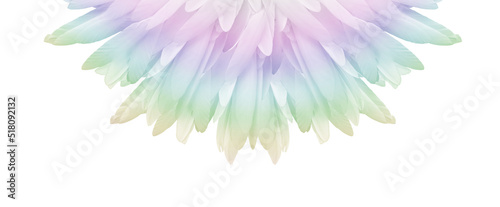Spiritual rainbow feather fan header - circular radiating mulicoloured fan of long thin bird feathers isolated on white background
