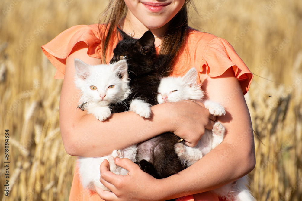 Close-up girl with three kittens, two white kittens and one black. Zoology, holding cats. Summer photo for calendar and design Close-up girl with three kittens, two white kittens and one black. Zoology, holding cats. Summer photo for calendar and design