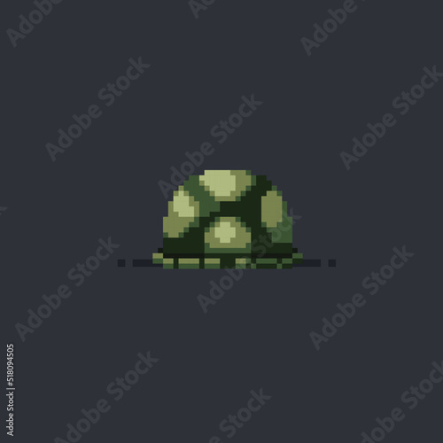 turtle shell in pixel art style