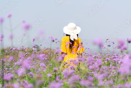 Traveler or tourism Asian women standing and chill  in the purple  verbena flower field in vacations time.  People  freedom and relax in the spring  meadow.  Lifestyle Concept