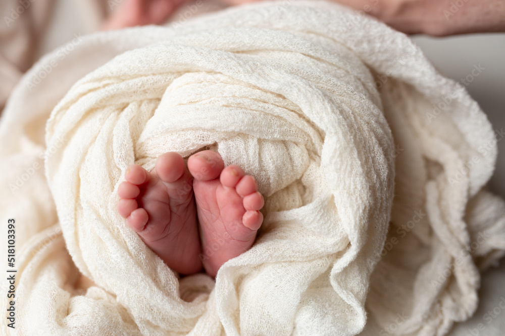 feet of a newborn baby in cloth. little baby feet. care and comfort. a family. hygiene feet of a newborn baby in cloth. little baby feet. care and comfort. a family. hygiene