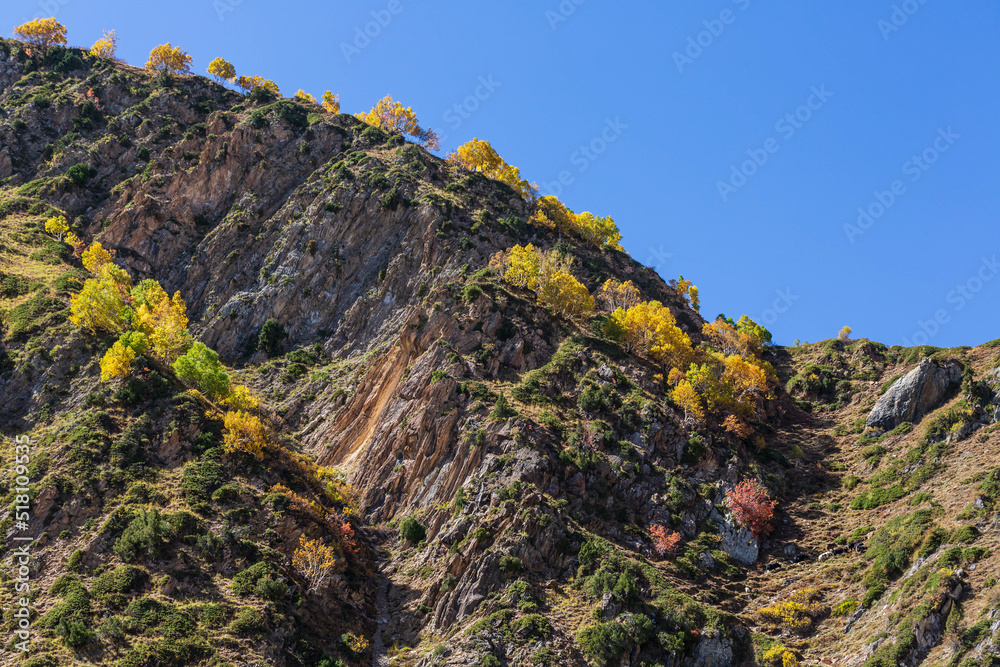 Colourful tees on the rocks of the mountains at Rakaposhi base camp, Hunza valley, Pakistan