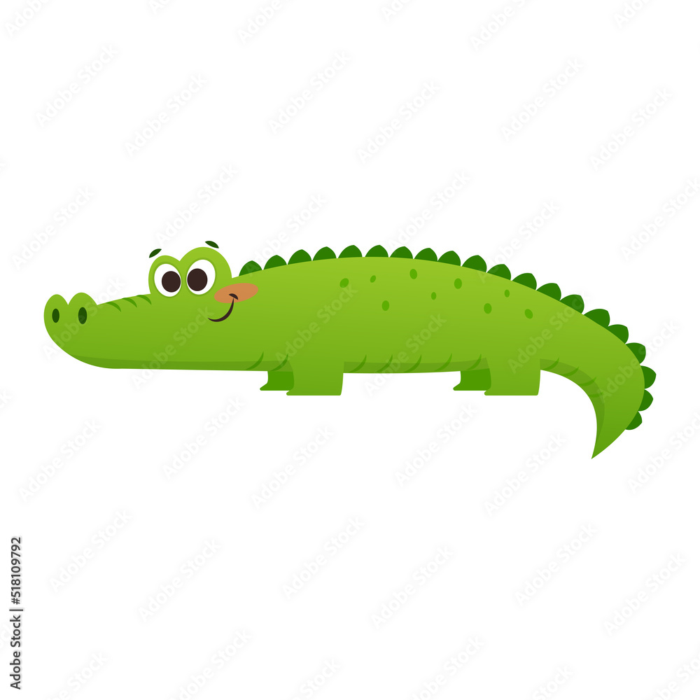 Cartoon alligator isolated on white background. Green vector crocodile