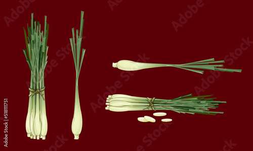 lemon grass