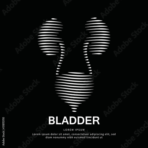 Human Bladder medical structure. Creative simple line art Vector logo kidney and bladder silhouette on a dark background. Urinary system Vector illustration. EPS 10