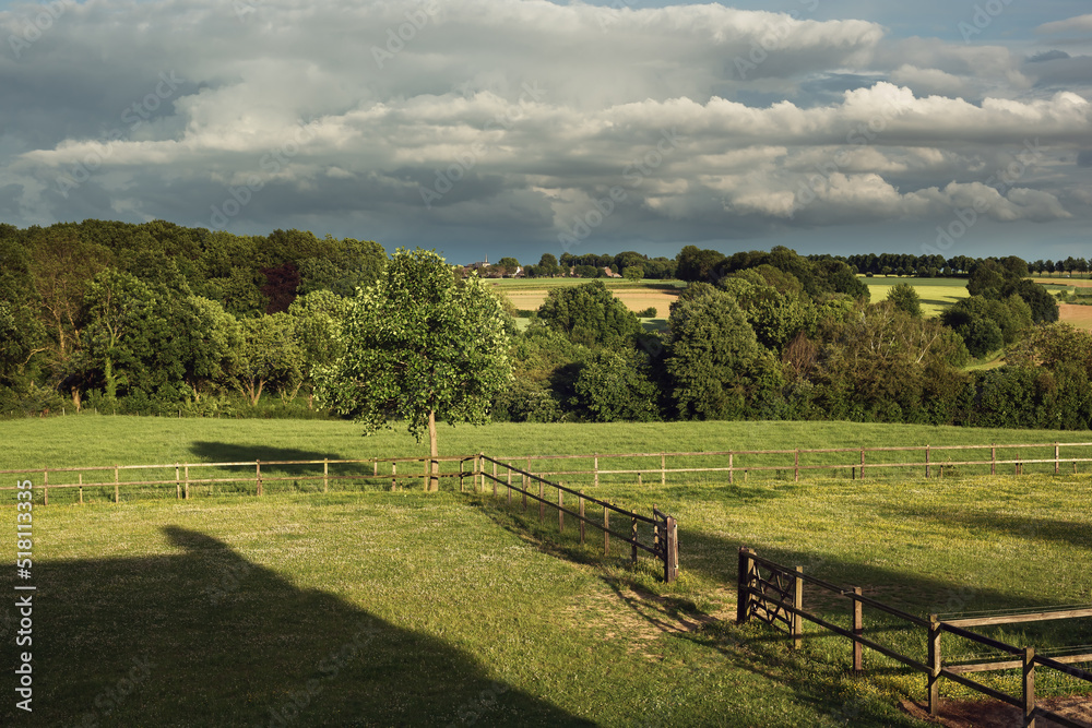 Pasture with wooden fences and trees in rolling countryside under a cloudy sky.