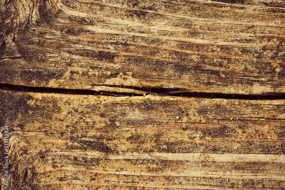 Fototapeta premium Wood texture background. Rough vintage wooden table, brown timber for backdrop, top view