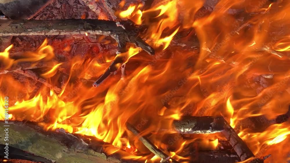 Bonfire close-up. fire close-up. Log fire close-up Bonfire close-up. fire close-up. Log fire close-up