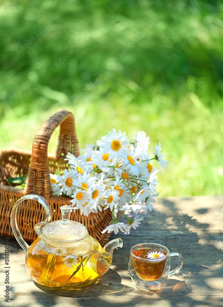 Chamomile flowers in basket, glass teapot and cup with herbal tea on table in garden, natural abstract green background. summer season. rustic composition. relax time. useful calming tea - obrazy, fototapety, plakaty 