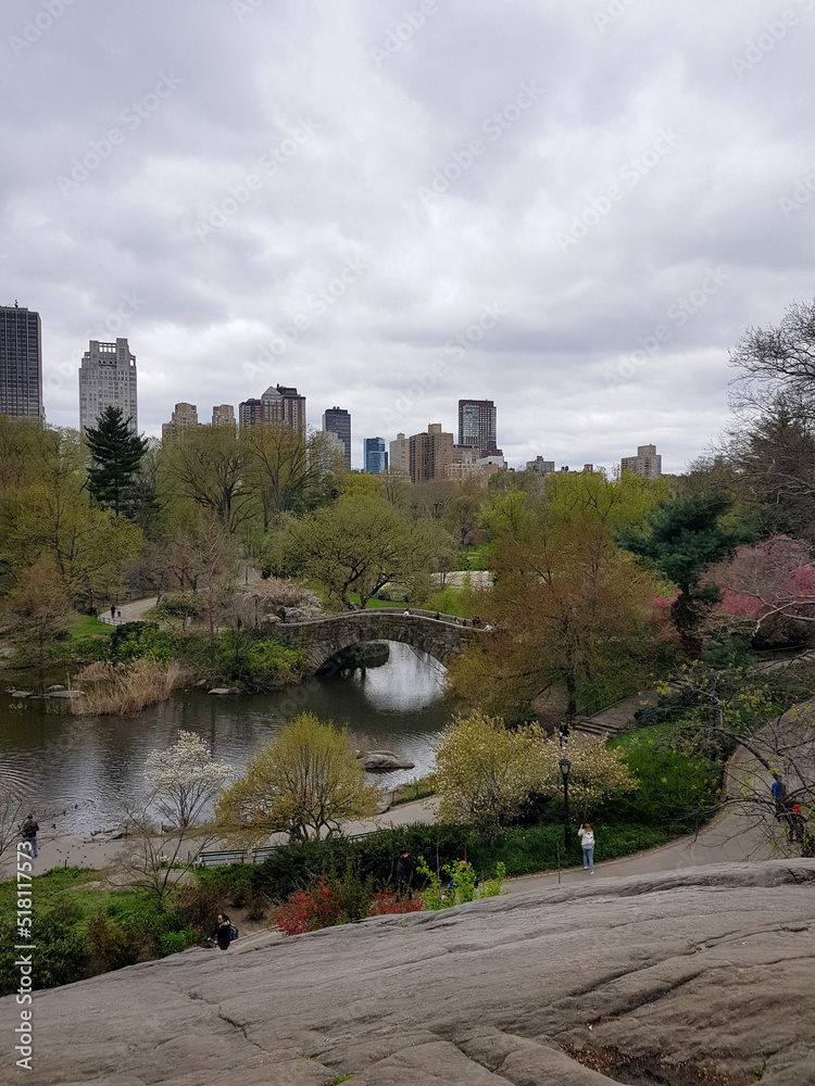 beautiful view of the central park New York 