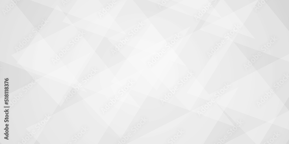 Fototapeta premium Abstract background with lines Background white and texture gray elegant wallpaper, soft clean wave template with bright line pattern, Geometric design .Texture Of Crumpled and paper texture design .