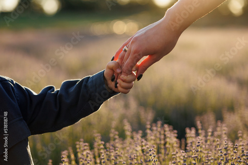 Close-up view of a mother holding her little son's hand while walking in a lavender field