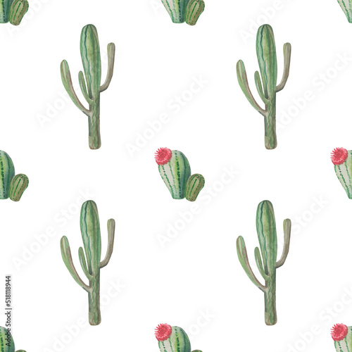 Watercolor botanical seamless pattern with cactus and mexican flowers. Natural art fot textile and pack.