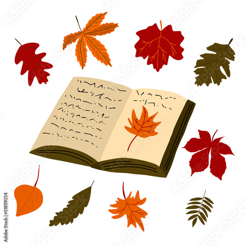 Autumn leaves and book. Doodle vector illustration