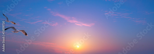 art abstract beautiful summer sky background; sunrise new day and flying birds