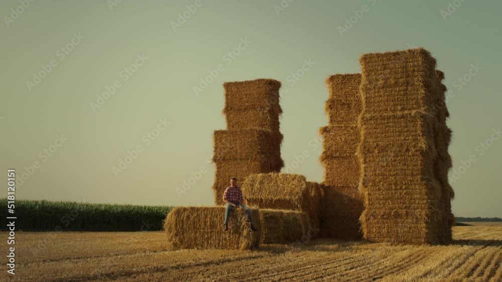 Vidéo Stock Farmer resting hay stack in sunset sunlight. Farmland owner ...