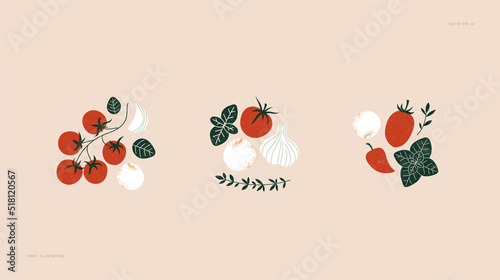 Tomato and basil with mozzarella cheese balls. Food collection. Vector illustration photo