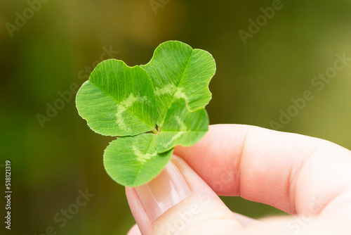 Four-leaf clover in a woman's hand, close-up, selective focus.