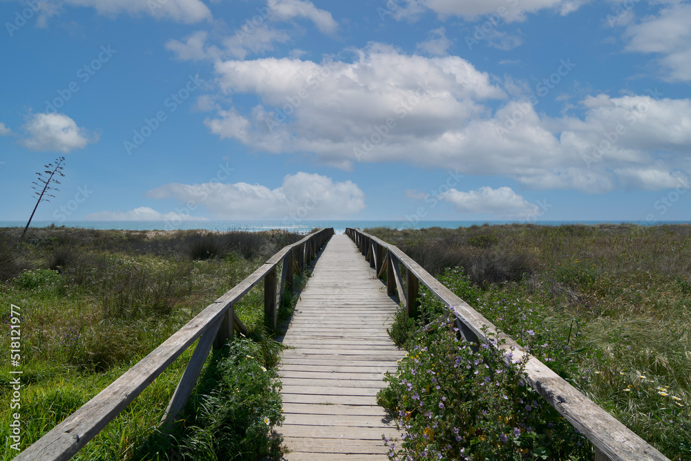 Wooden walkway with vegetation on the sides on the way to the sea.