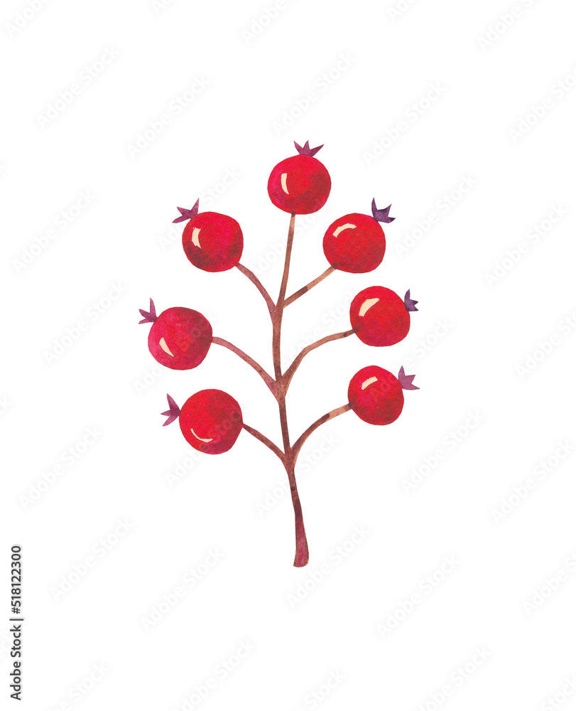 Watercolor red autumn berries branch. Hand drawn. Watercolor red autumn berries branch. Hand drawn.