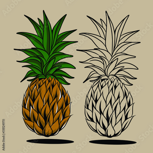 pinaple vector illustration made for branding use and so on
 photo