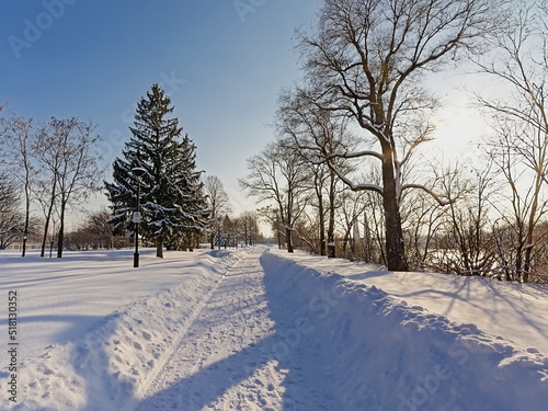 Groomed trail in the snow with bare and coniferous trees on a sunny winter day in Jean Drapeau park in Montreal, Quebec, Canada 