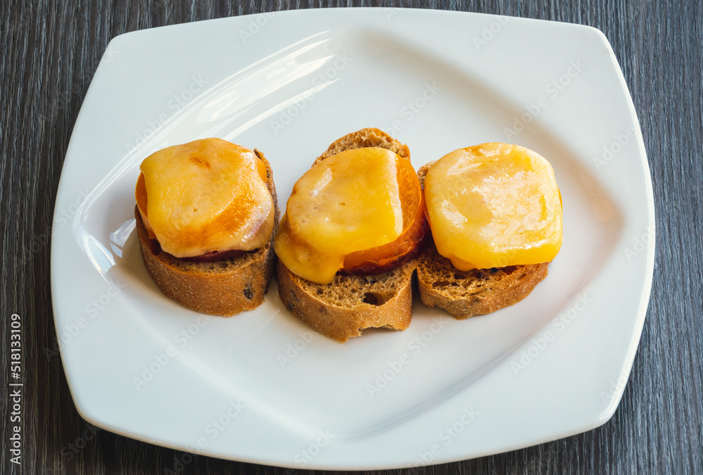 Top view of cheese sandwiches. Healthy sandwich with ham, melted cheese in a white plate on a wooden background. The concept of a quick snack. Grilled cheese sandwich. Top view of cheese sandwiches. Healthy sandwich with ham, melted cheese in a white plate on a wooden background. The concept of a quick snack. Grilled cheese sandwich.