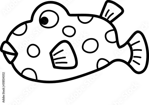 Deflated puffer fish