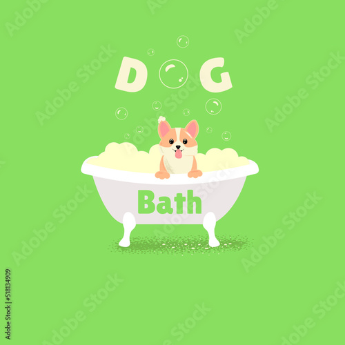 Doggie bathes in the tub,corgi,kawaii