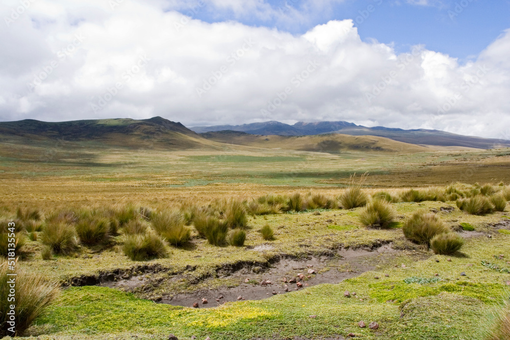 Antisana Reserve Ecuador