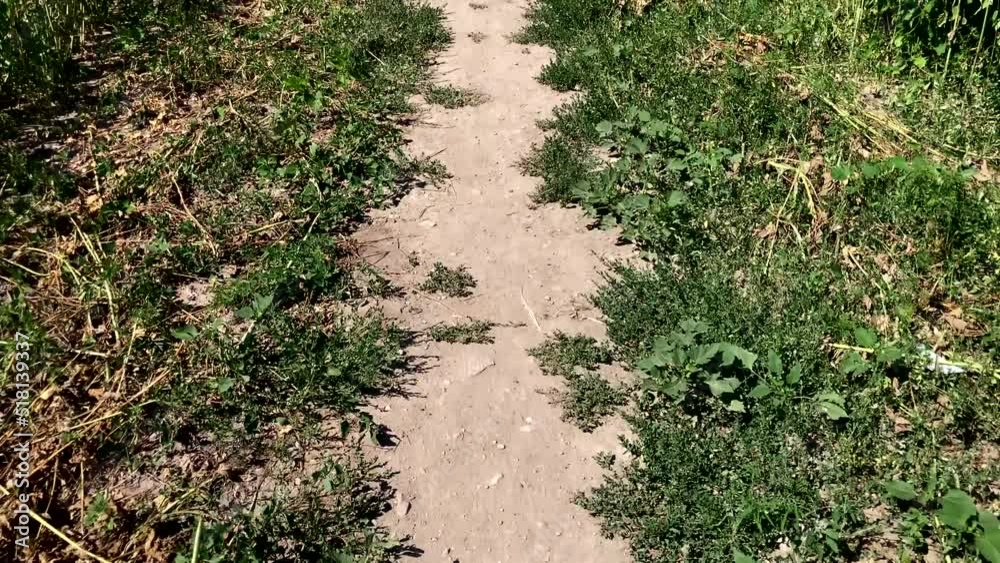 walkway movement. cross country hiking trail walkway movement. cross country hiking trail