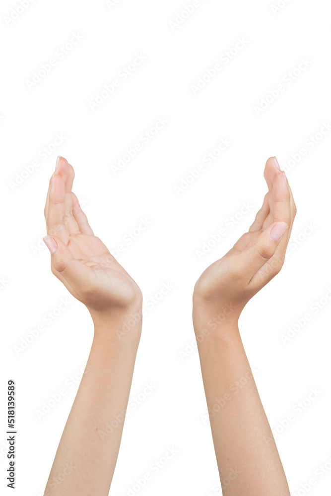 Woman's hands with white background and copy space Woman's hands with white background and copy space