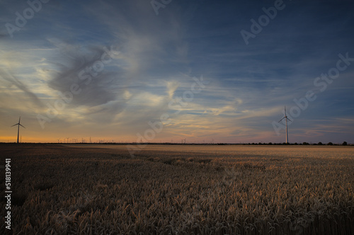 Feld mit Himmel