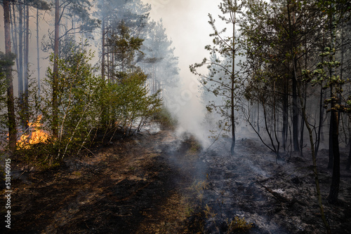 Rauchentwicklung bei Waldbrand